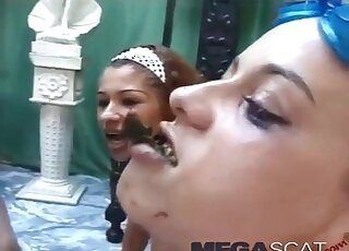 Hot group horny babes in one XXX video of shitting