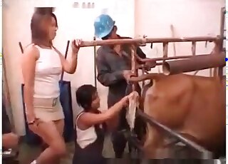 Going to the farm and playing games with the animals