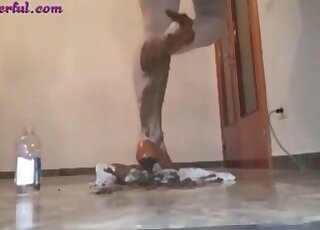 Big booty brunette shitting and playing on cam